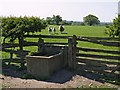 Water Trough in South Kilvington