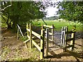 Woodfalls, gate & stile in SP6 2ND