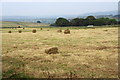 Hay bales on Copthurst Moor in HD9 2SE