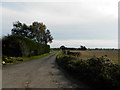 Farm road to New Downie in DD7 7SE