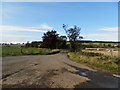 Farm road to Old Downie in DD7 7SE