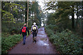 Rotherham Roundwalk in Rockingham Wood in S61 4LT