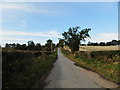 Country road to Woodhill in DD7 7RR