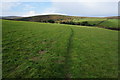 Bridleway to the open moor in TQ10 9EB