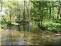 River Stiffkey - upstream view from ford footbridge near Thorpland Hall in NR21 0HD