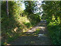 Track to Fowlers Dairy in DT6 5JD