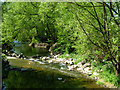 River Avon, Brownsover in CV21 1BJ