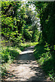 Byway between Dean Lane and Ham Green, Sparsholt in SO21 2LP
