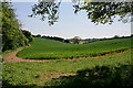 View across farm land to Crab Wood in SO21 2LP