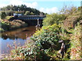 Aqueduct over the Kelvin at Balmuildy Bridge in G23 5HJ