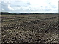 Farmland, Scarisbrick Moss in PR9 8AA
