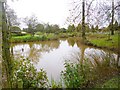 Telford Crematorium, pond in TF2 9NJ