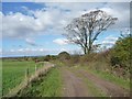 Public footpath to Aikhead, looking north in CA7 9BY