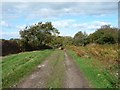 Wide section of the footpath to Aikhead in CA7 9BY