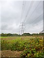 Upper Burgate, power lines in SP6 1ND