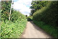 Narrow lane on the North Downs in TN25 5HQ