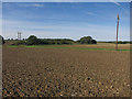 Footpath across tilled field in SG9 0QA