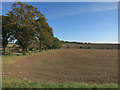 Farmland by Hodenhoe Manor in SG9 0QA