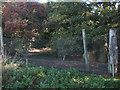 Pheasant pen, Brandish Wood in SG8 9RA