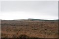Looking across moorland to Octomore Wood, Islay in PA48 7UD