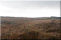 Fence and old boundary near Octomore, Islay in PA48 7UD