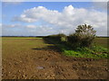 Field boundary off Wold Road in HU17 8AR