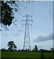 Pylon line by Randall's Farm in RG40 4HL