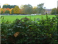 View west across playing field from Commonfield Lane in RG2 9LL