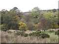 Across Bashall Brook to Hareclough Farm in Ribble Valley District (B)
