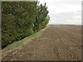 Ploughed field by Stroom Dyke in NG13 9HB