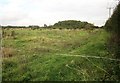 Field south of Langar in NG13 9HB