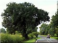 A6121 towards Toft in Toft with Lound and Manthorpe