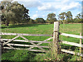 Gate into pasture at Dyke End in NR29 5JX