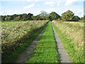 Footpath to Dyke End in NR29 5JX