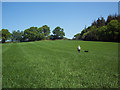 Footpath across field towards Rushmore Farm in SP6 3EA