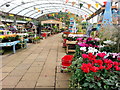 Seasonal display at Plymouth Garden Centre in PL6 8FY