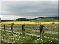 Farmland near Edzell in DD9 7SW