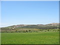 View across the Lligwy valley in the direction of Mynydd Bodafon in LL78 7JF