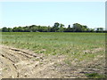 Farmland between Matching Green and Matching Tye in CM17 0RF