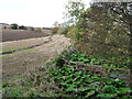 Part ploughed field beside the Midlem Burn in TD6 9HU
