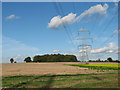 Stubble field north of Brickkiln Lane in NR14 8AG