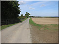 Road past Hatchpen in Ermine Ward