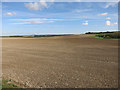 Large field at Hatchpen in Ermine Ward