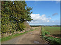 Farm road leading to Hopton Farm in TD8 6UN
