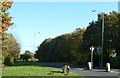 Tanterton Hall Road in Cadley Ward