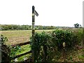 Footpath goes north from Southwick in PO17 6BB