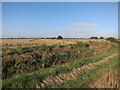 Partly harvested field in PE24 4RQ