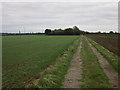 Footpath to Hiam Lodge in PE27 3LJ