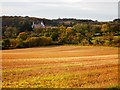 Fields Near Llanfaes in LL58 8LS
