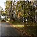 Telephone kiosk near Dall, Tay Forest Park in PH17 2QQ